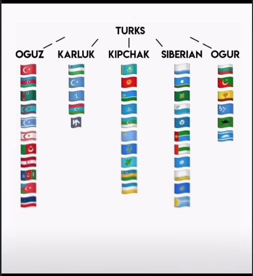 suzi_Wagner1's tweet photo. @ShutoOfficial Mezmezopatamya eşşekleri eğitilemez https://t.co/e5KBEYTPGo