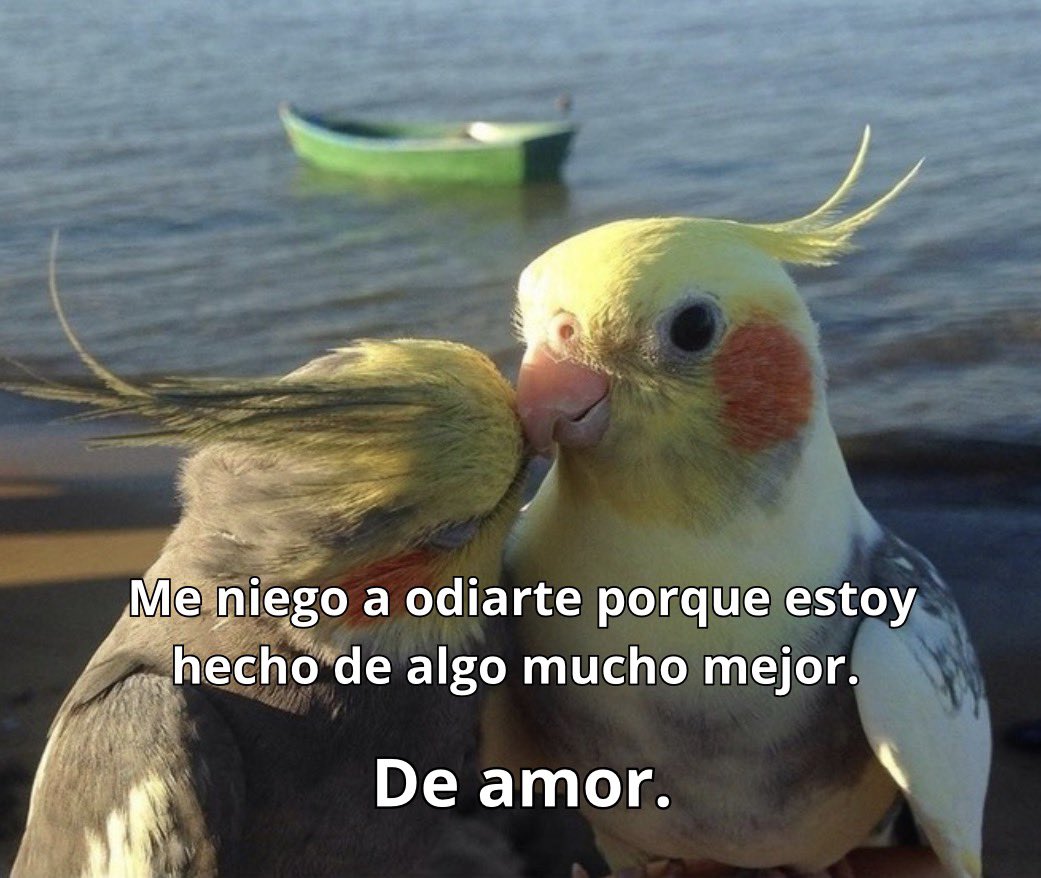conoloracigarro's tweet photo. https://t.co/pKMgrqSISx