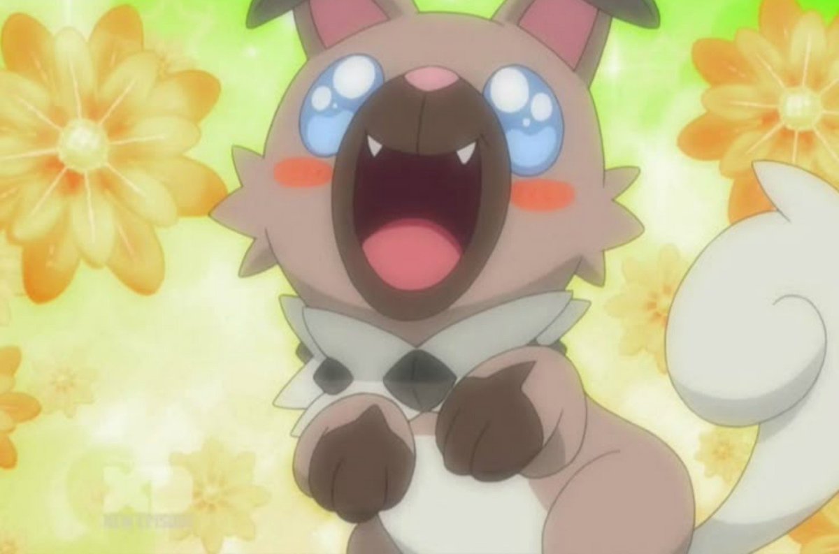 Acervo_rockruff's tweet photo. E somos 57 mil amantes do rockruff, obrigado a todos 🐾 https://t.co/XmSpAN0xVp