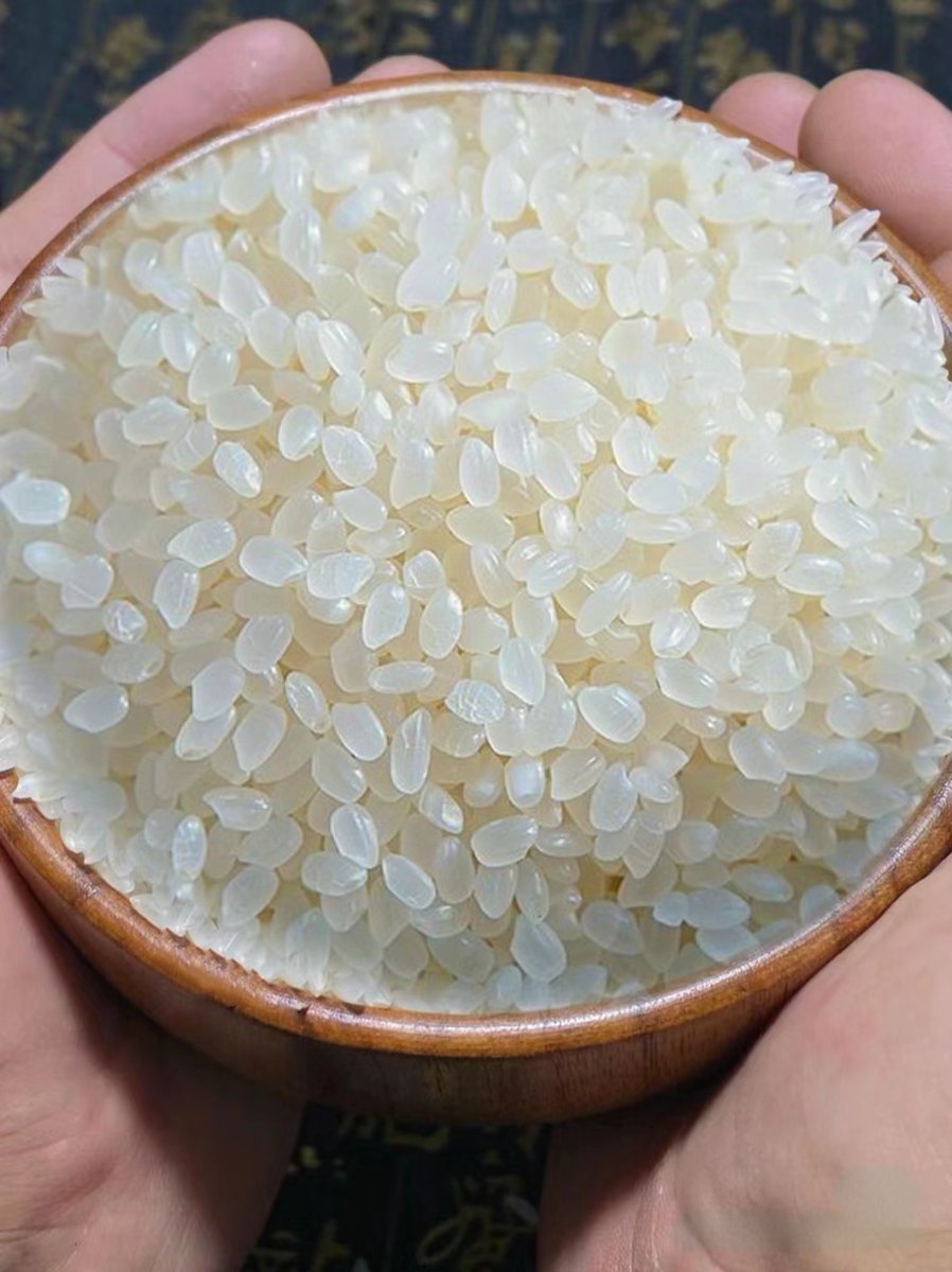 LondynHallmt's tweet photo. El compaero de piso de la universidad cocinó arroz con leche pero olvidó el azúcar! Terminamos comiendo "arroz blanco tibio" y nos reímos hasta el atardecer ， https://t.co/A1QNlGxC7k