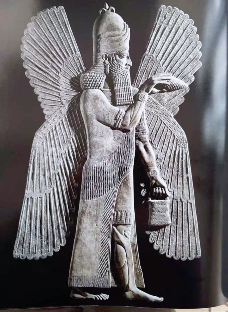 GilgameshIQ's tweet photo. نحت بارز تمثل ما يُعرف بـ «الجني المجنح» أو الملاك الحارس تعود إلى العصر الآشوري  ما بين القرن التاسع و الثامن قبل الميلاد
 وُجدت هذه المنحوتات البارزة في قصور الملوك الآشوريين مثل قصر الملك آشور ناصربال الثاني في مدينة كالخو (النمرودحاليآ) في شمال العراق 
يمسك الكائن في يده المرفوعة بمخروط صنوبر بينما يحمل في يده الأخرى الأسفل دُّلوًا أو حقيبة صغيرة، وهو مشهد طقسي متكرر يرمز إلى مباركة وتقديس الأشجار أو القيام بطقوس الخصب والحماية للملك وقصره
تظهر الأجنحة البارزة على ظهر الشخصية كرمز لطبيعته الروحية أو الحامية في المعتقدات الآشورية 

A relief depicting what is commonly known as the “Winged Genie” or guardian spirit, dating to the Neo-Assyrian period, between the 9th and 8th centuries BCE.

These reliefs were found in the palaces of Assyrian kings, such as the palace of King Ashurnasirpal II in the city of Kalhu (modern-day Nimrud) in northern Iraq.

The figure holds a pine cone in its raised hand, while in the other, lower hand it carries a bucket or small container. This is a recurring ritual scene that symbolizes the blessing and consecration of sacred trees, or the performance of fertility and protective rituals for the king and his palace.

The prominent wings extending from the figure’s back symbolize its spiritual or protective nature within Assyrian religious beliefs.