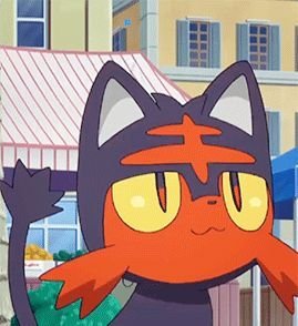 AcervoLitten's tweet photo. 51 é cachaça mas também é a quantidade de fãs do litten, obgd e desculpa não postar muito (acervo clt trabalha demais) https://t.co/Bf6XJKKJvs