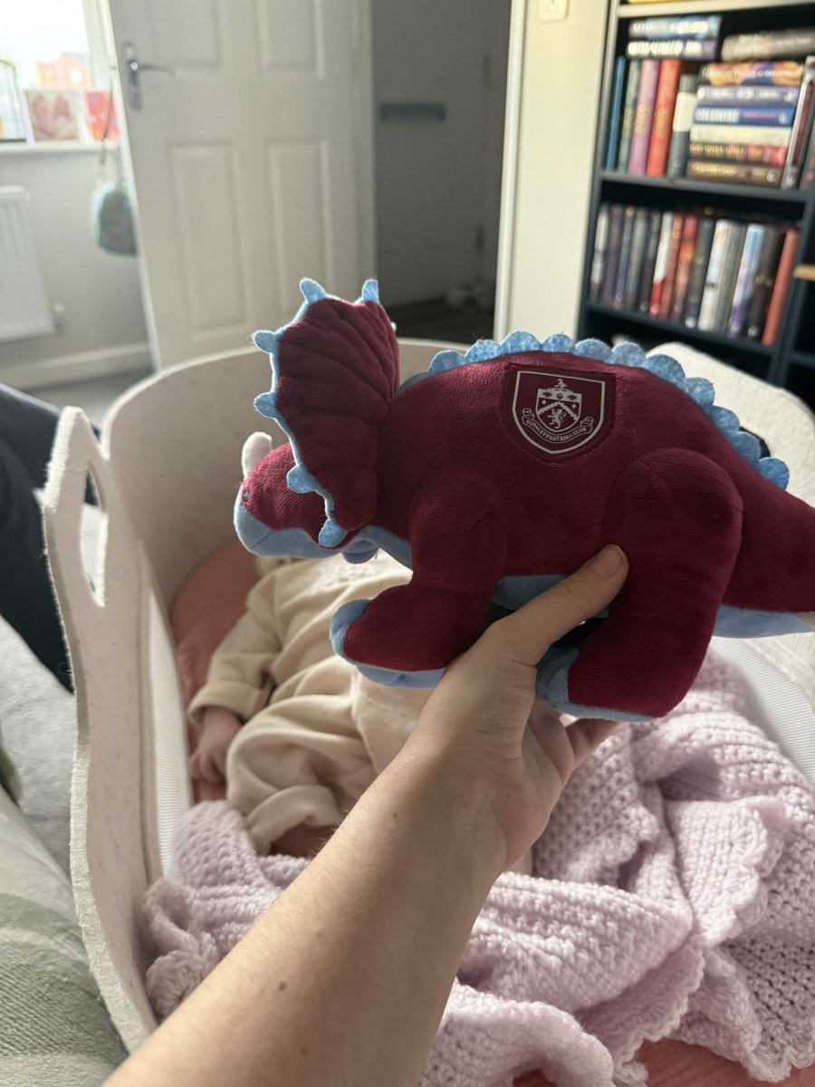 claret_hol's tweet photo. We go again… all a little baby girl needs is a claret and blue stegosaurus 

#twitterclarets https://t.co/MOmZ6CX95D