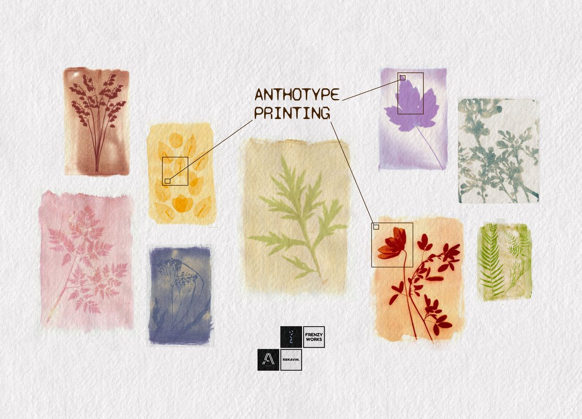 kiiradesign's tweet photo. I'm super excited to host an anthotype printing workshop https://t.co/4d8rstJLjm