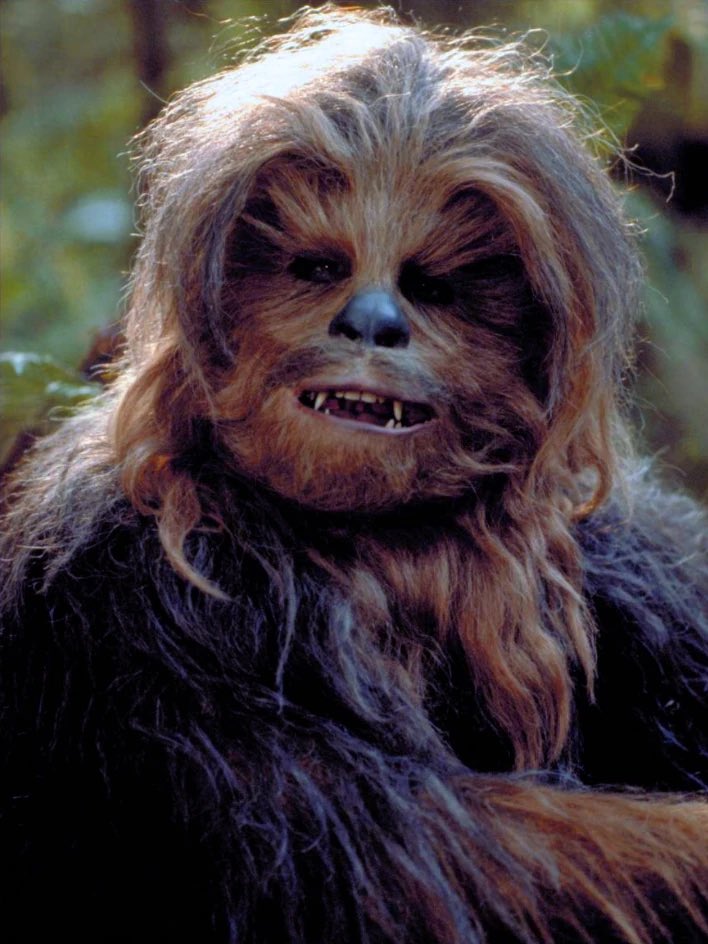 MabelWinterHaze's tweet photo. I would post more IRL pics but being born AMAB and the result of Wolverine, Chewbacca, and Austin Powers having a threesome really makes my body hair so much of a bitch to deal with at best, and dysphoric at worst. https://t.co/PLd0ZInq1K