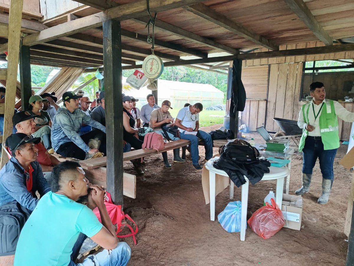 ICACOLOMBIA's tweet photo. ☕️ El conocimiento técnico aporta al desarrollo de la caficultura colombiana.

En Puerto Asís, Putumayo, acompañamos una escuela de campo sobre Buenas Prácticas Agrícolas (BPA) y Manejo Integrado de Plagas (MIP), como parte del diplomado en café robusta (Coffea canephora) que desarrolla la Universidad de la Amazonia.

Durante la jornada, 35 productores y actores vinculados a la actividad cafetera participaron en actividades teóricas y prácticas orientadas a la identificación, evaluación, monitoreo y manejo de plagas de importancia económica para el cultivo, además de conocer el marco normativo aplicable a las BPA. 🌱

El ejercicio permitió acercar la gestión del riesgo fitosanitario a las condiciones productivas de la región y brindar herramientas para que los productores incorporen las disposiciones sanitarias en sus procesos productivos.