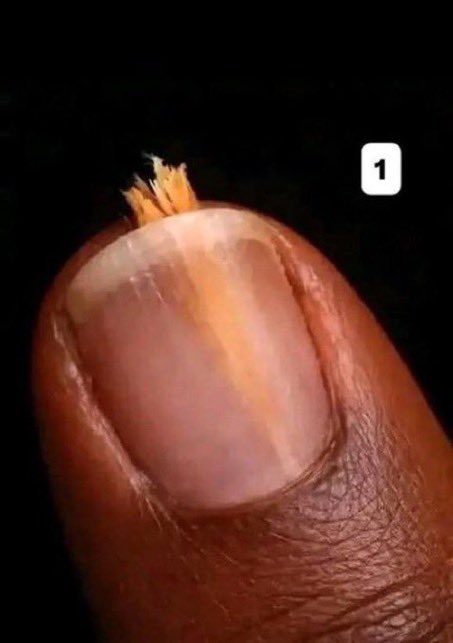 itsjoelarmani's tweet photo. Define Pain.

Me… https://t.co/EhCkqZAEVd
