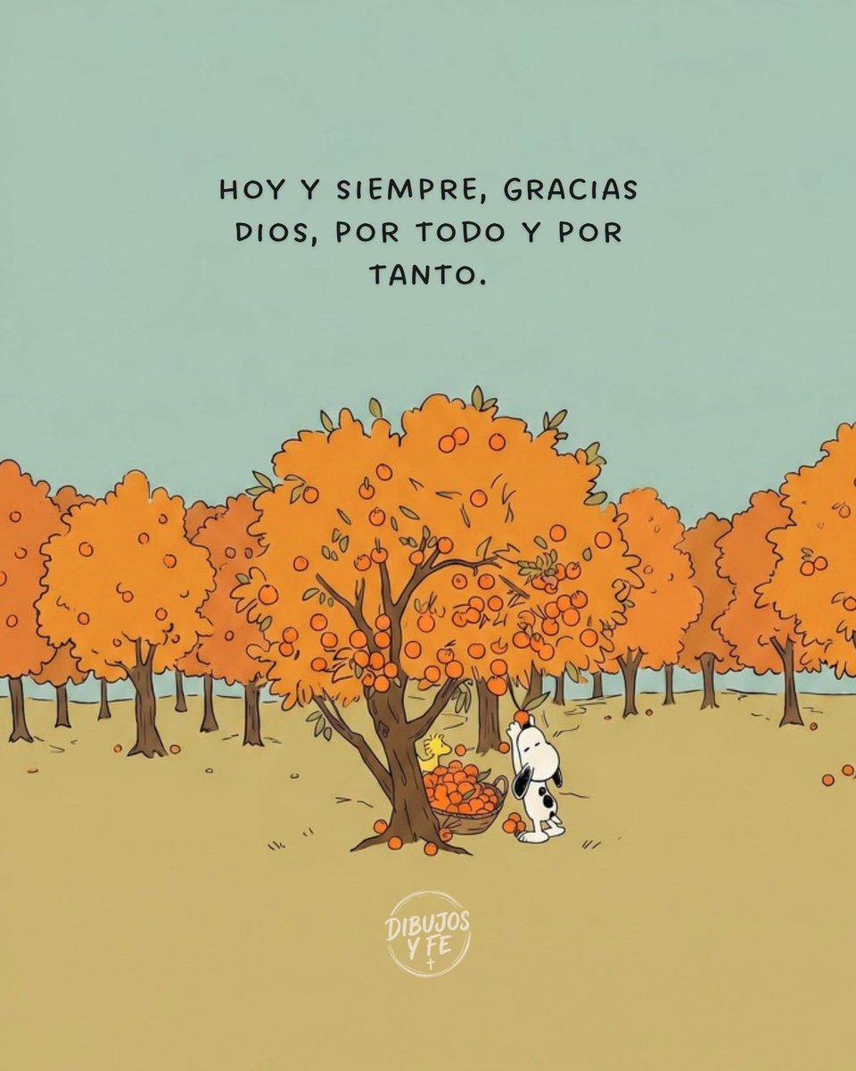 Bandidosfrasess's tweet photo. https://t.co/MWAaUKjp09