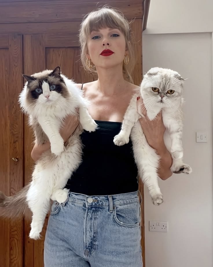 iamvictor_ec's tweet photo. Taylor swift confirms to Vogue that she and Travis kelce have adopted a female dog.

“She’s ours,” she tells Vogue. “Travis and I adopted her. She’s a girl. She was homeless.”
Swift says they did not go looking for a particular breed. They wanted to give a home to a dog who needed one. “That’s the part I care about people knowing.”
The decision was made with Travis Kelce. “He’s so good with her. I’m the one worrying about whether the cats have accepted the new roommate. They’re working it out.”
