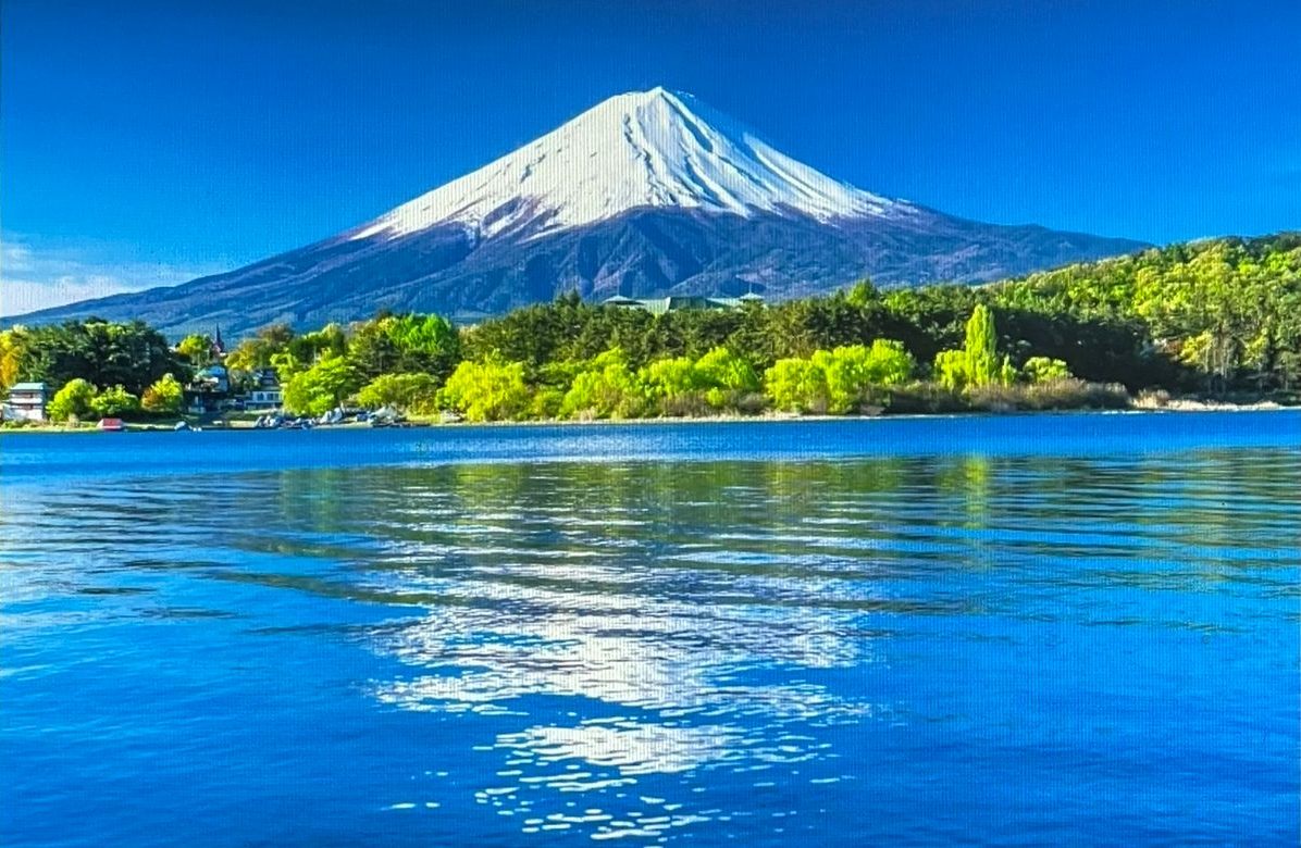 creativ_sense's tweet photo. 驚くほどの安らぎを感じながら、昼下がりの柔らかな光に包まれてソファで編み物をしている。ふと見ると、隣で猫たちが寄り添いながら静かに夢の世界へ。毛糸がするすると指から滑り落ちる瞬間、その柔らかさが心にも染み込むようだ。この幸せな時間、一日中続けばいいのにと思う。 https://t.co/m2g0pkYxRQ
