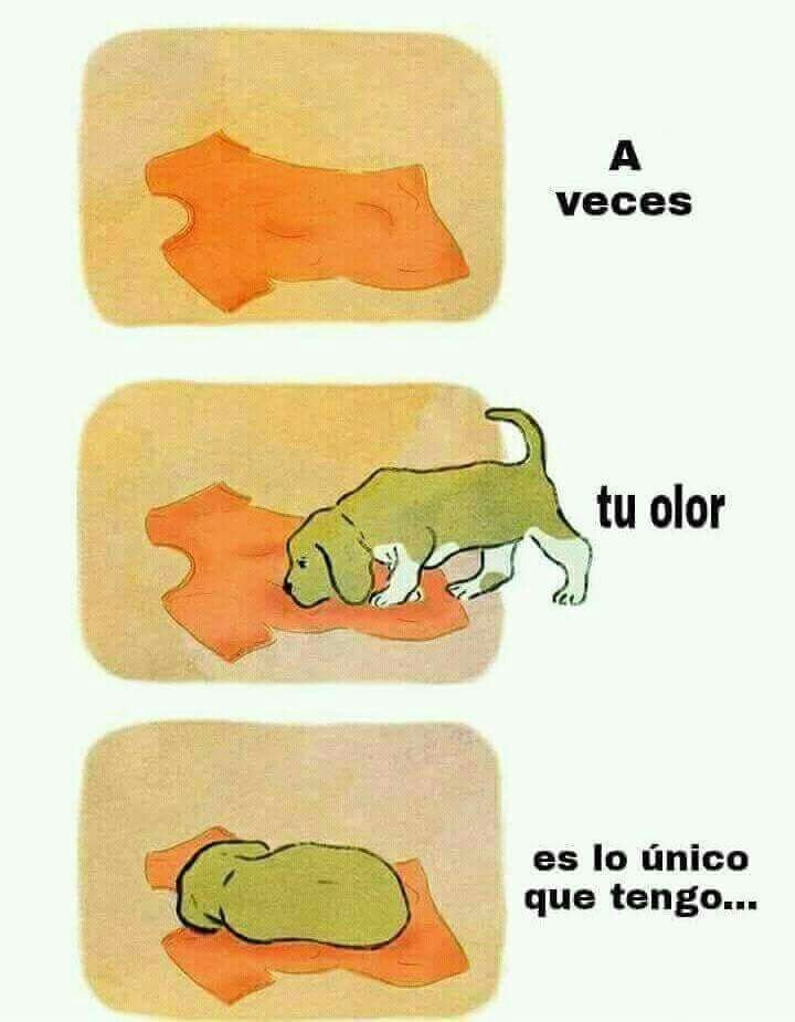 rey_latino33087's tweet photo. https://t.co/2sHKZ5eBMN