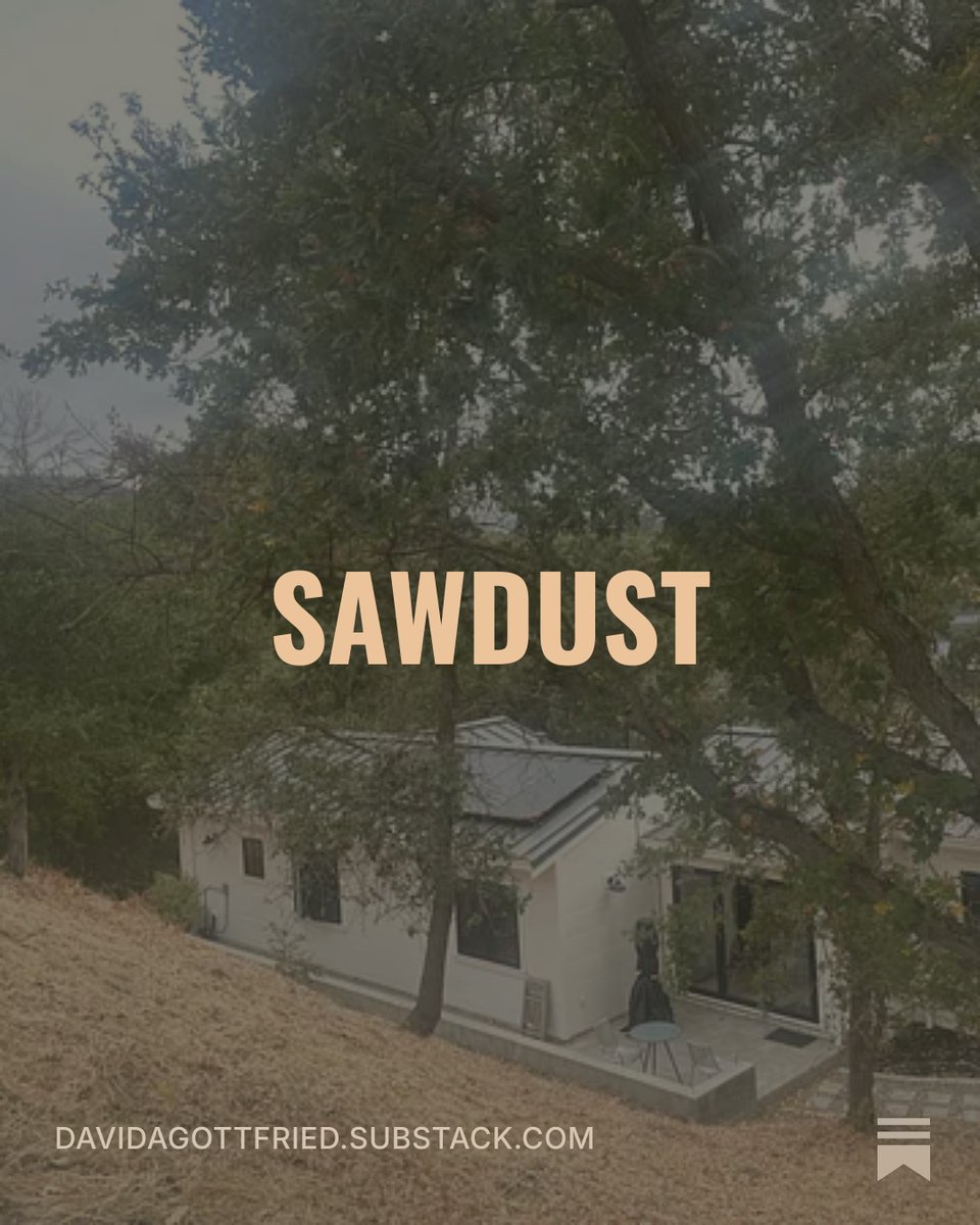 davidgottfried's tweet photo. I drive over the same spot twice a day and had never looked at the ground—hundreds of acorns ground to sawdust under my tires. Every one a whole tree: embryo, stored food, armor.

What have you walked past a thousand times and never actually looked at? https://t.co/mQhSPREvoY
