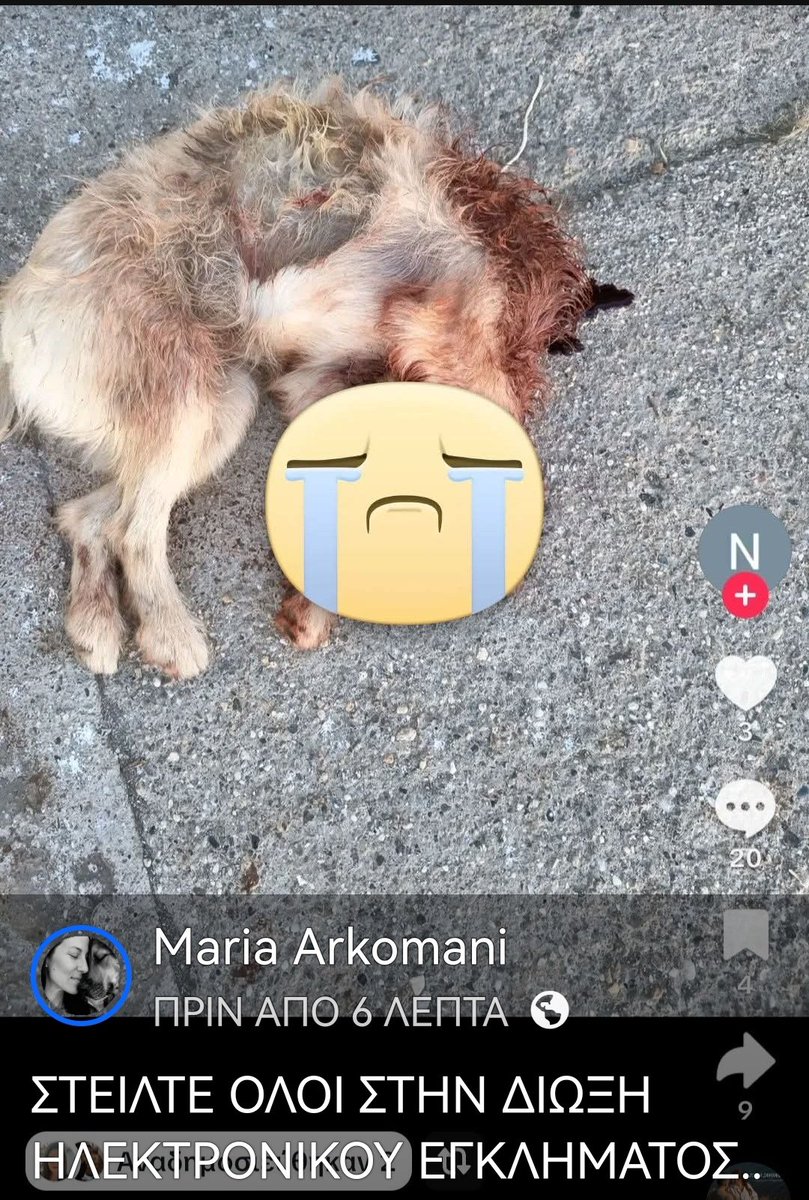 Christinalirou2's tweet photo. ‼️🆘‼️🆘‼️🆘‼️🆘‼️ https://t.co/qLmeLHQTQN