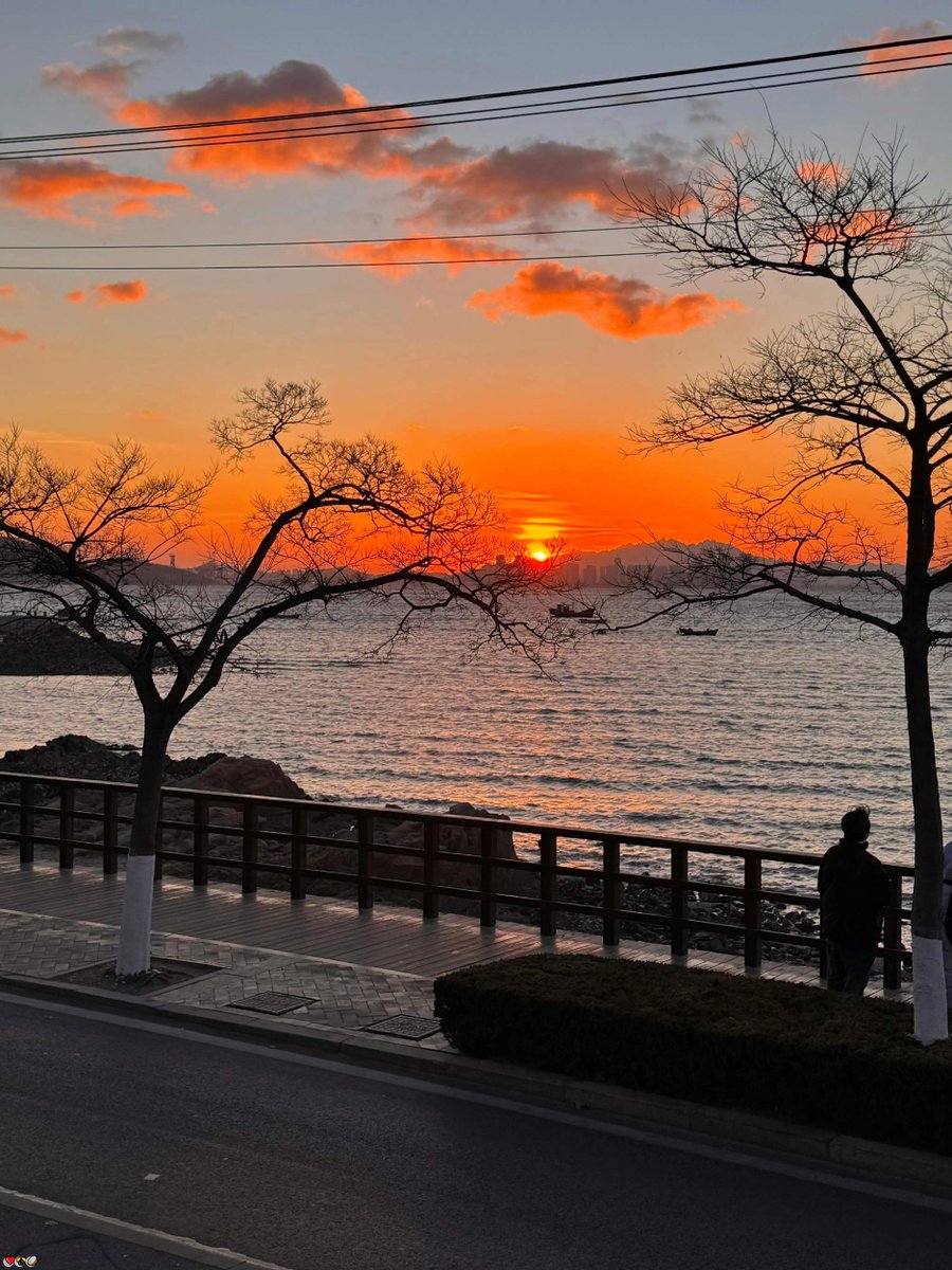 BrightLynxaybu's tweet photo. 🙌1V1🔥3P😍3P🥳🤩ATM奴😃COS🌸JK💕KP💯SM💫一对一😍丝袜😄乳夹🔥互看✨任务💖倒计时🔥做爱😆健身💫偷情👏公交车🥳制服诱惑😁剧情

企鹅裙：1818089
飞机：zuoyi1v1
裸聊/连麦/文爱/调教/寸止 https://t.co/LpXoBTPHwF
