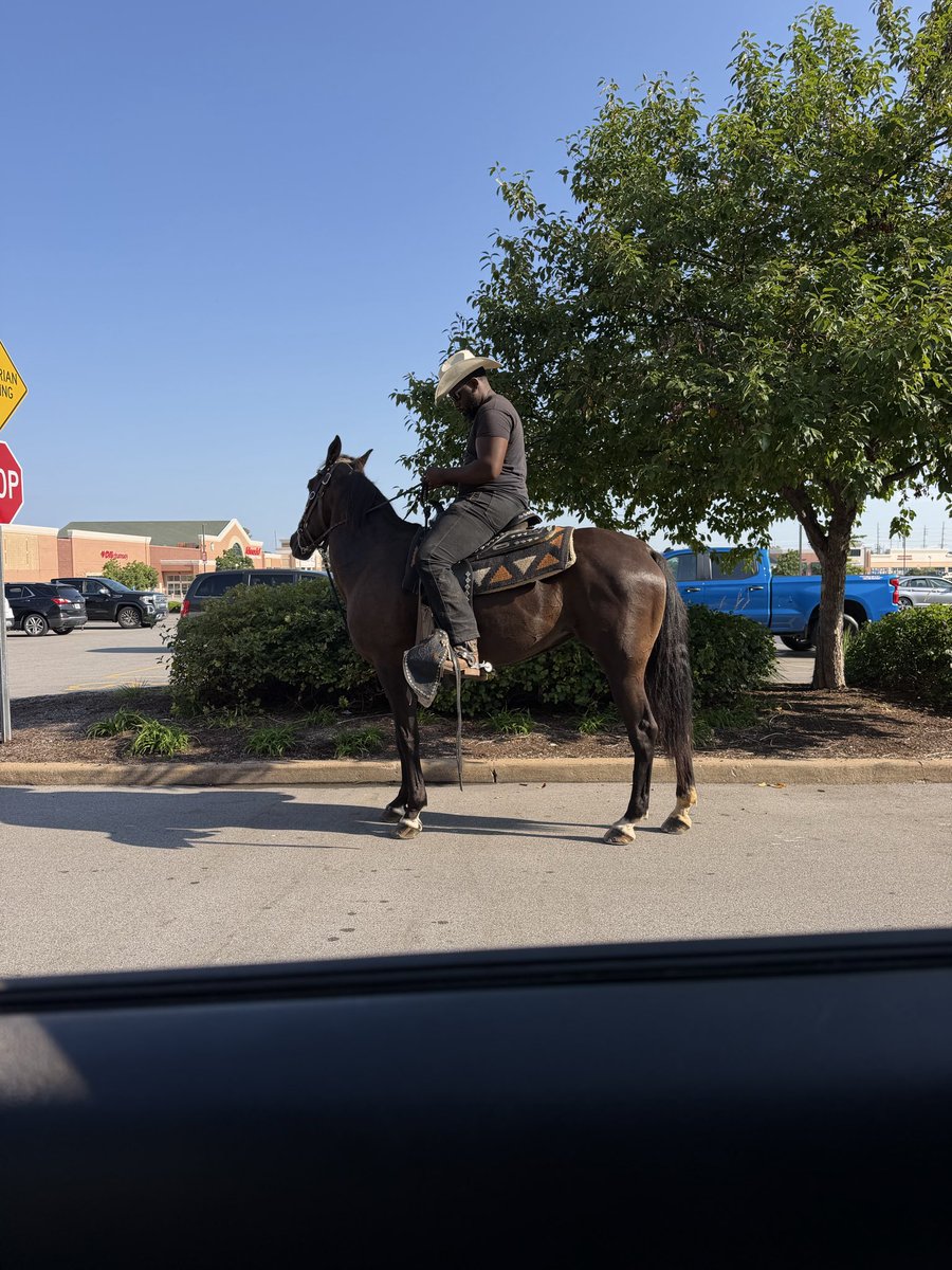 LifeWithLaKisha's tweet photo. I was minding everybody else’s business when I spotted a man on a HORSE in the shopping plaza. 👀😂🐎

Of course I asked for a ride. 🤣 Then told him, “Next time I see you out, I want my ride.”

He said sure. 😊

Now I’m waiting to run into my cowboy again. 😂🐎

#LifeWithLaKisha https://t.co/Ag661EDaqN