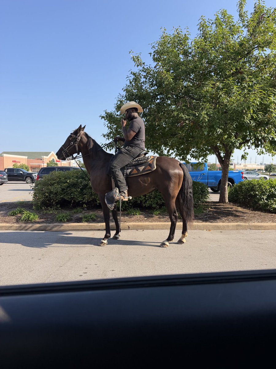 LifeWithLaKisha's tweet photo. I was minding everybody else’s business when I spotted a man on a HORSE in the shopping plaza. 👀😂🐎

Of course I asked for a ride. 🤣 Then told him, “Next time I see you out, I want my ride.”

He said sure. 😊

Now I’m waiting to run into my cowboy again. 😂🐎

#LifeWithLaKisha https://t.co/Ag661EDaqN