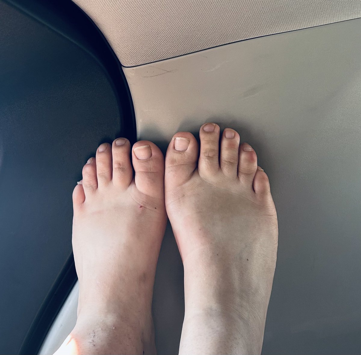 Trixie0f7n's tweet photo. Natural girly 😉 I sell feet pics and do requests https://t.co/obcKxzQmXd