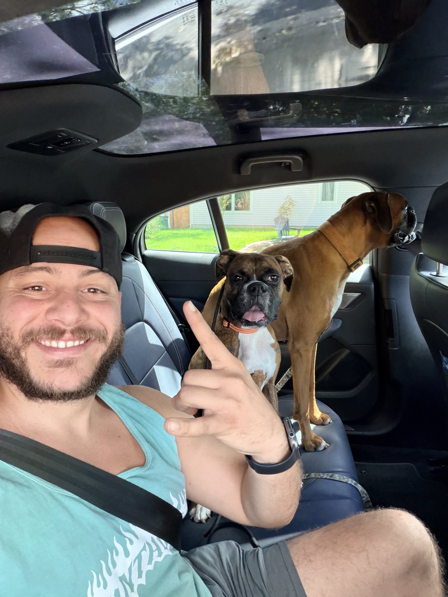 TheBoxerBond's tweet photo. Who else’s Boxers absolutely LOVE going for a ride? I’ve heard horror stories of dogs being terrified of car rides. 

Thank God my two pups absolutely LOVE IT. 

They’ve also jumped inside my neighbors cars several times ready for a joy ride haha 🤣 ❤️

#boxerdogs #dogsofx #dogs #dogtrainer #austin