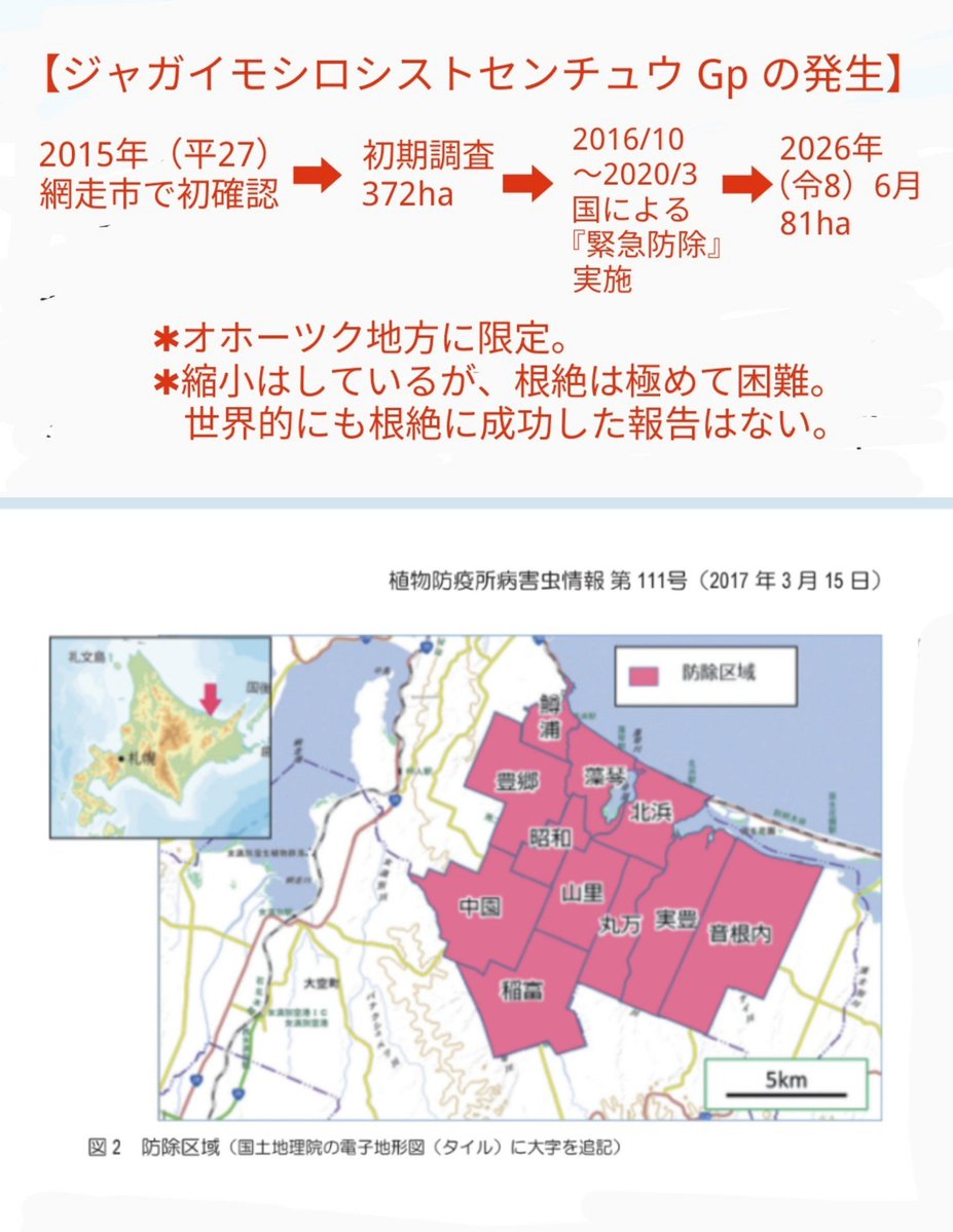 HarukaMinon2's tweet photo. そうでしたか

シストセンチュウ類=GrとGpは既に北海道で発生し苦難を強いられてきた
Grは本州でも確認

ペルーから輸入の肥料に混入のGrは、侵入から60年経っても根絶に至らず

既に解禁のポテチ用生ジャガは熱処理加工・残渣焼却・排水の厳格な管理

今回、一般家庭に普及する事は次元が違うリスク⚠️ https://t.co/QfTeK0CVri