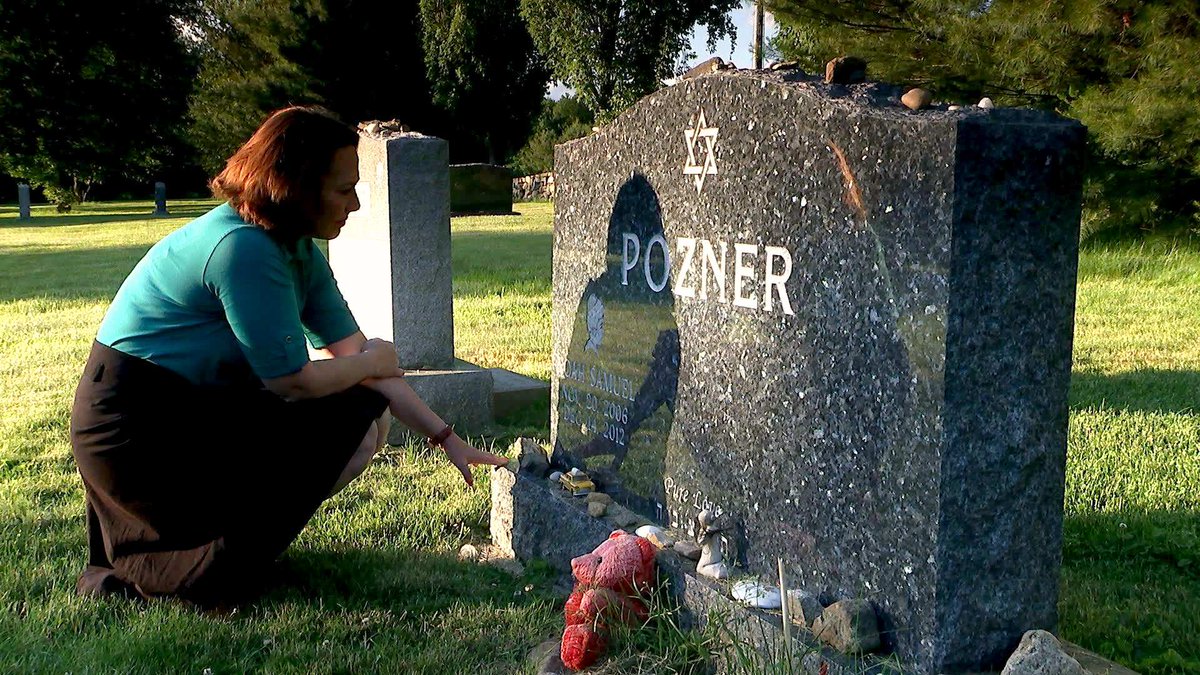 Donna_In_Heaven's tweet photo. "Our next stop is the airport to fly back to Sandy Hook. We visit Noah's grave in a cemetery so tiny that we drive past the entrance..." Lisa Millar says she got emotional visiting Noah Pozner's grave (ABC Foreign Correspondent) #FairUse
JPEG Quality 53% same views
#ThinkingCap https://t.co/rJ917uiSbk