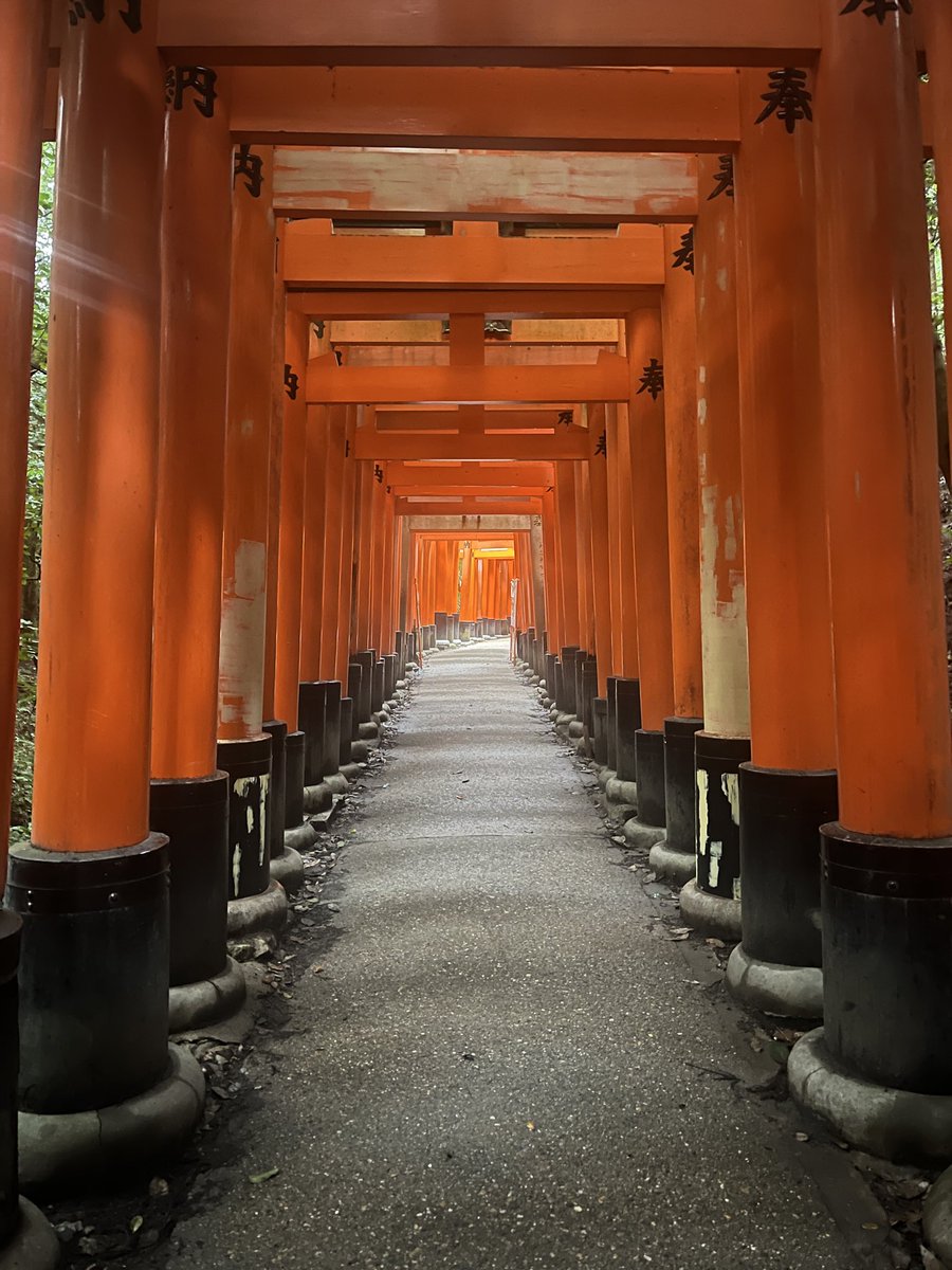 AstroMakotoSuwa's tweet photo. 今朝は伏見稲荷まで参拝ラン⛩️🏃

朝から少し蒸し暑い京都ですが、緑の中を走ると気持ちがいい。自然を感じながら走るのも、また良いものです。

今日も一日、頑張ります！ https://t.co/3JX4MAjsaz