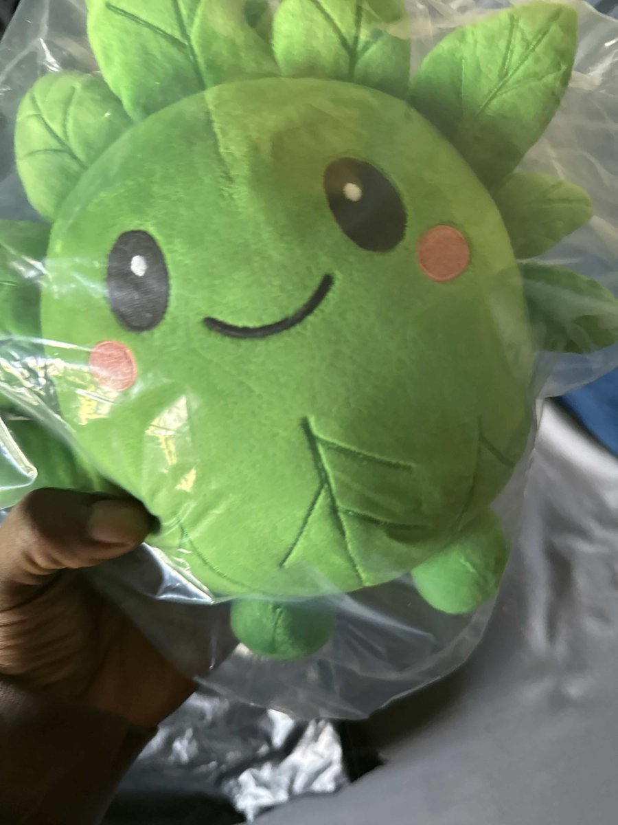 Sticky6Ft_'s tweet photo. @mitchiesol_ Tokenized cannabis and plushies 
$Leafy https://t.co/24mg7gJKfz
