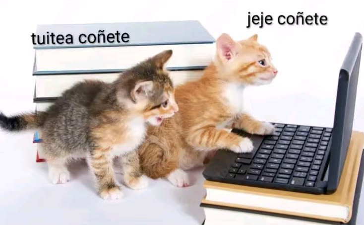 mishumishita's tweet photo. Top mekorez imágenes echaz en la humanidad https://t.co/dq0uuXRcLx
