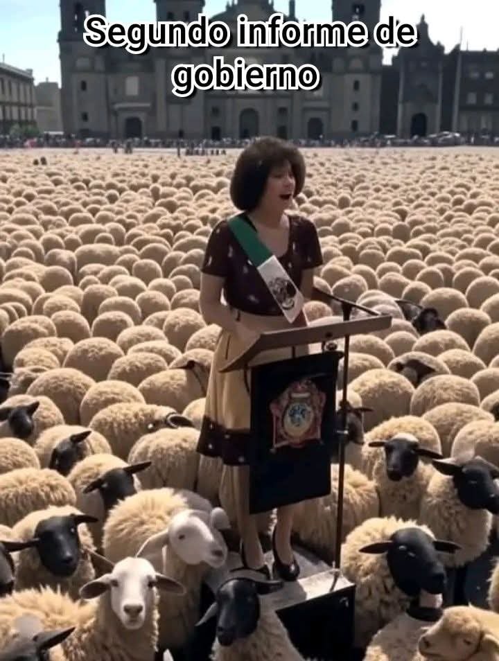 VicentePS2201's tweet photo. @fernandeznorona https://t.co/xgTKVmfiAM