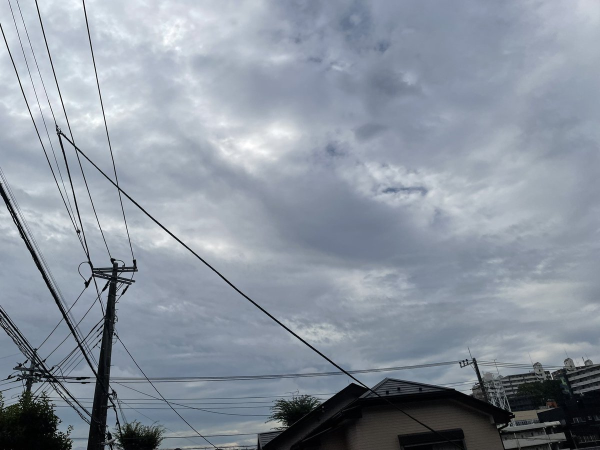 yukissie's tweet photo. 曇り時々日差し。湿度は相変わらず高めで、夕方は大雨も降るみたい。アサガオ西洋種は開くのがゆっくりで、出かけると開いたところを見ずに終わる。本日も。家の中はバラが開き始めております。奥のやつは散り始めた。さあてと、行ってきます。今日は昼から外出。雨に降られませんように。 https://t.co/2WtMiALFNR