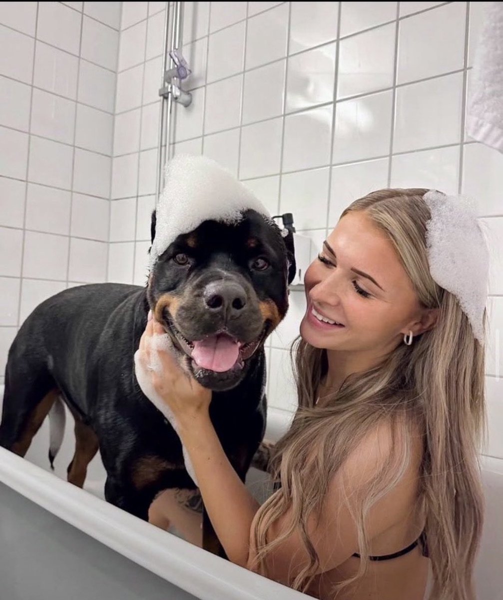 KinkyEmili5v's tweet photo. Moments spend together are everlasting memories and I’ll cherish it and watch my knotty videos anytime I miss you 😘 BRUNO my k9❤️❤️
.
.
.
#pov #porn #breedingkink #daddy #leak #LewdRP #gooner #nsfwtwt #public #submissive #bigdick #slut #cheating #squirt #paypig #USA #australia https://t.co/BEZ69aRlxc