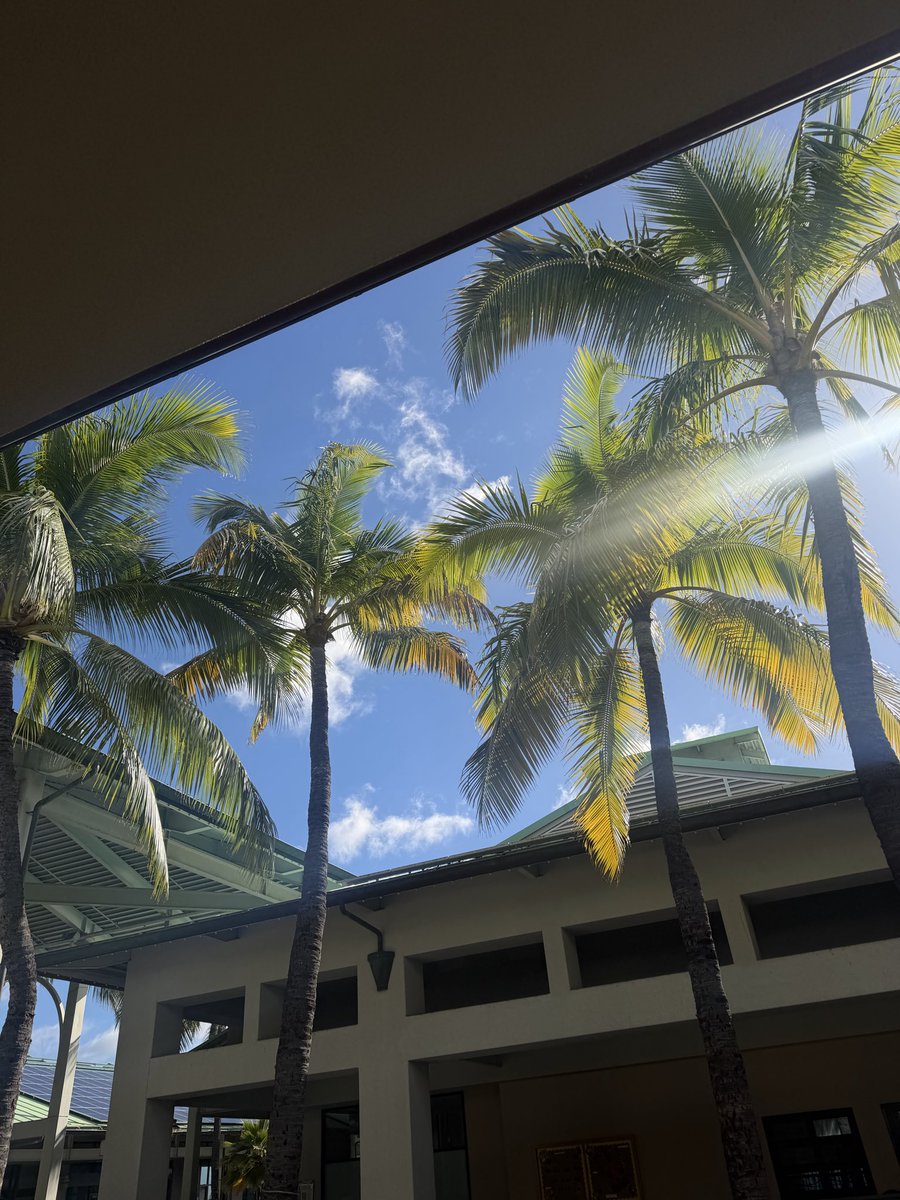 jonathanxrodri's tweet photo. @ jonxxrod on insta 😘 #hawaii https://t.co/trtB7nHwdc