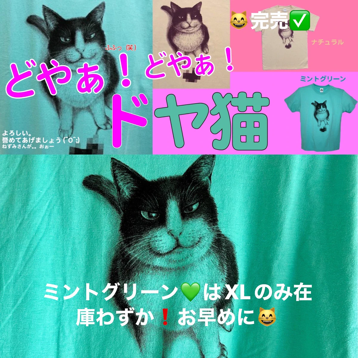 高円寺猫中毒✨ on X: 
