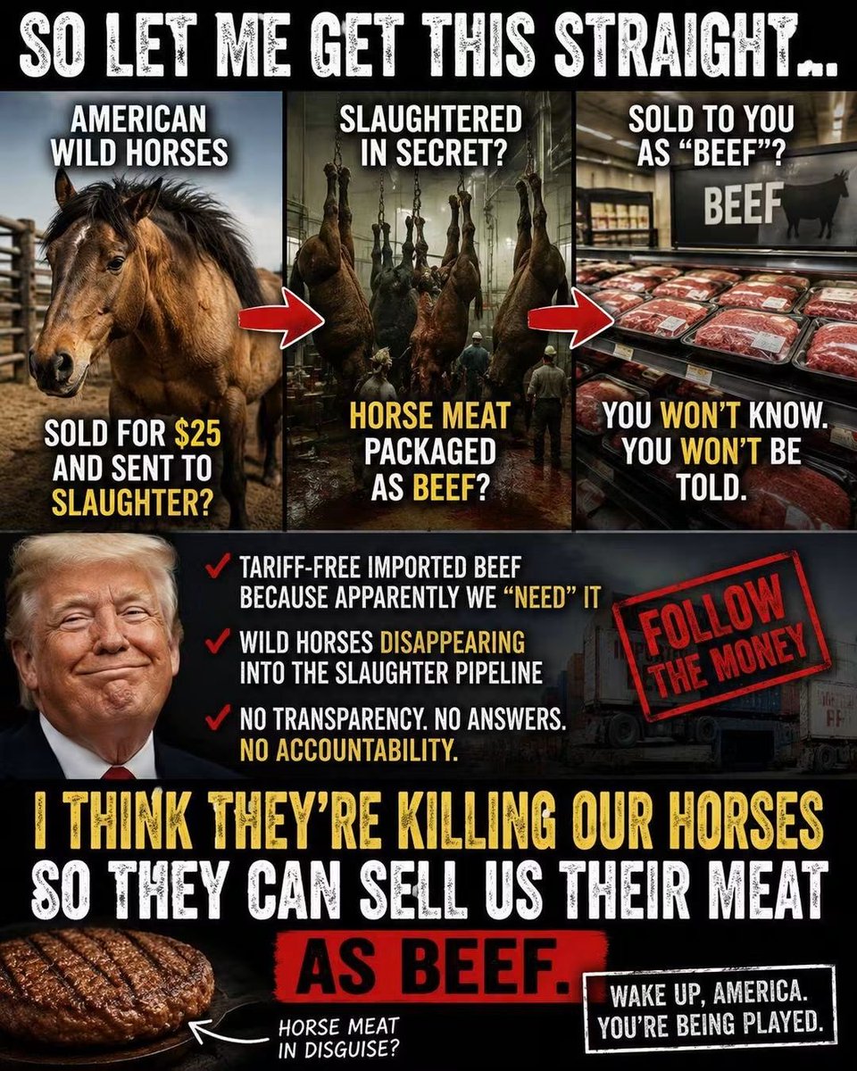 Seth6844's tweet photo. So you are saying there's a high probability.I've eaten horse meat recently? #wtfjusthappened #lies #comedy atleast I notice season my meat differently. 😄 🤣 😂 This is getting a bit out of control. https://t.co/uxG8tRTAEO