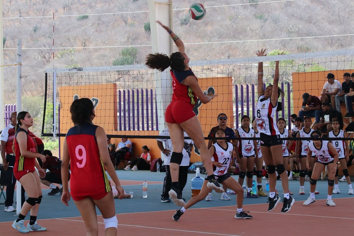 CeRod38's tweet photo. Nos vemos este domingo 6 de septiembre en el Deportivo “Antorcha” en la Reserva Vergara Tarimoya 4 para la #JornadaNacionalDeVoleibol
Desde las 8:00 am será un evento sumamente entretenido, de calidad y sana convivencia. https://t.co/cMo3oRY3xE