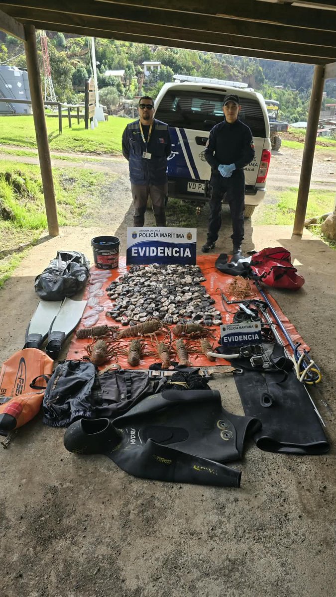 DGTM_Chile's tweet photo. Durante un patrullaje preventivo en #BahíaCumberland, personal de la #PolicíaMarítima de la Capitanía de Puerto de #JuanFernández  en conjunto con @sernapesca fiscalizaron una embarcación local, detectando irregularidades en su dotación de zarpe y la presencia de recursos hidrobiológicos extraídos en contravención a la normativa vigente.

El procedimiento permitió incautar más de 300 unidades de loco desconchado, 8 langostas de Juan Fernández y equipos de buceo. 

@Armada_Chile