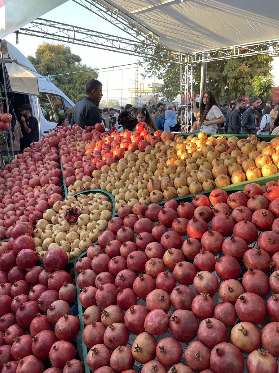 lachotwxwa's tweet photo. nothing beats Kurdish pomegranate ❤️‍🔥

📍southern Kurdistan, Halabja https://t.co/jbbR5CkciB