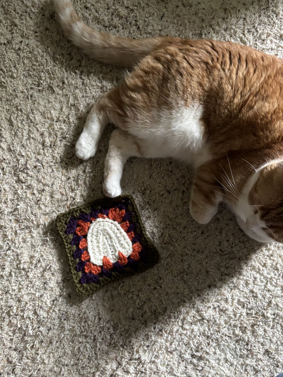 stylscourt's tweet photo. Made my first ghosty granny square tonight 🥹🩷👻 https://t.co/Fs0OUMKw68