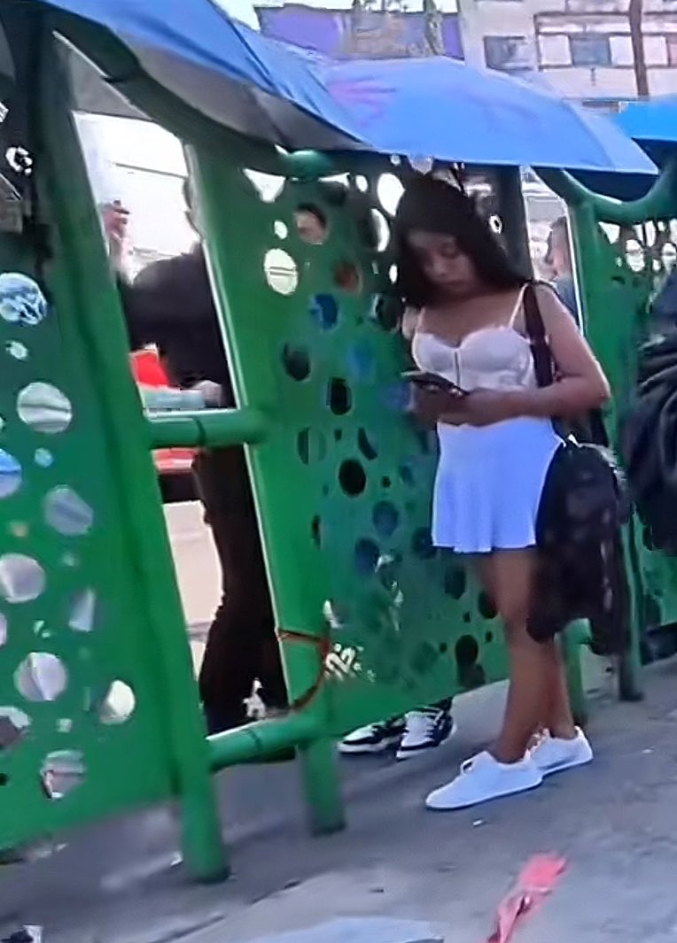 JustCallmeBeba's tweet photo. @MecheWorld2 Siempre me llamo la atención pero nunca pasé con ella y en frente más adelante en dirección al ampudia hay una chaparrita nalgoncita que se hace llamar Diana, de misionero un poco floja pero de perrito y montándose arriba uff chulada https://t.co/RIE0PuNaHC