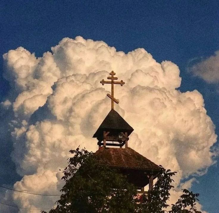 OrthodoxyMogs tweet picture