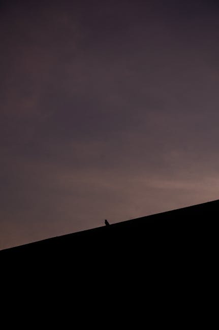 TrinityVesein's tweet photo. النجاح مع قبضتك على تصميمك. تبادل المحتوى الخاص بك مورد حيوي شكرًا جيد هو للقراء. لك! janita madriz https://t.co/78sbXrurZQ