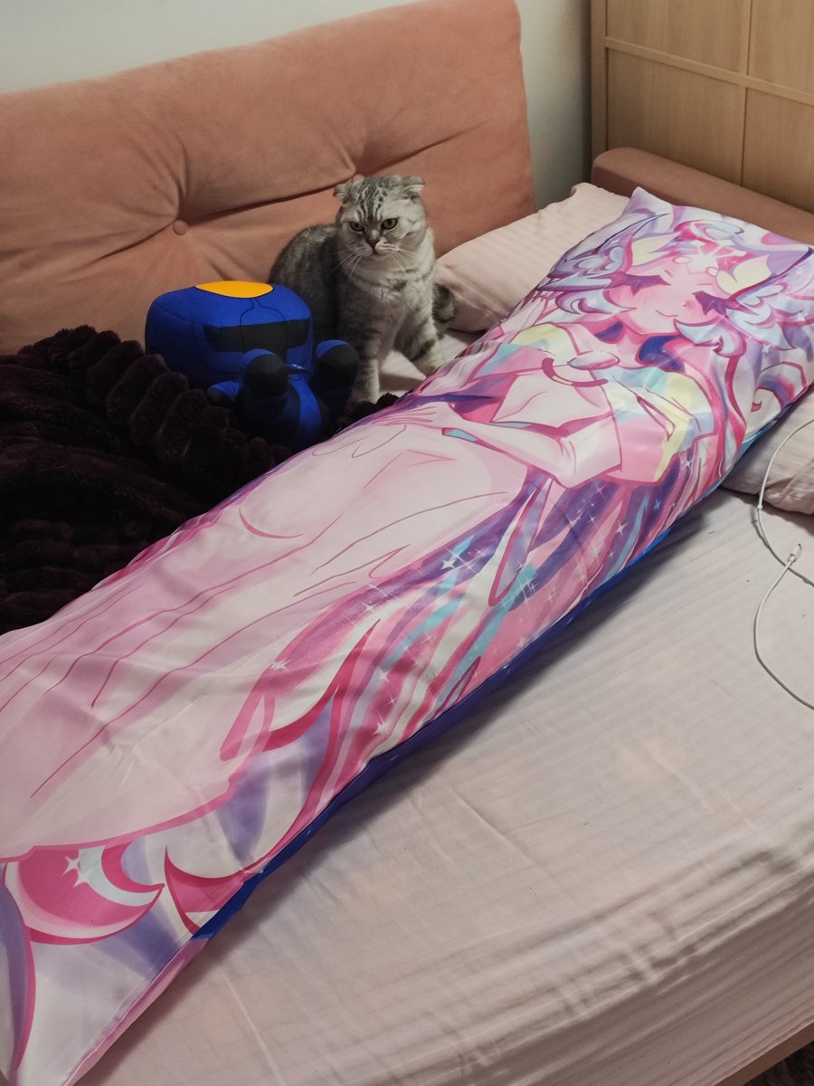 fishkitty8's tweet photo. sugar swan body pillow i made💕
#cookierun #sugarswan https://t.co/4axR05b4eX