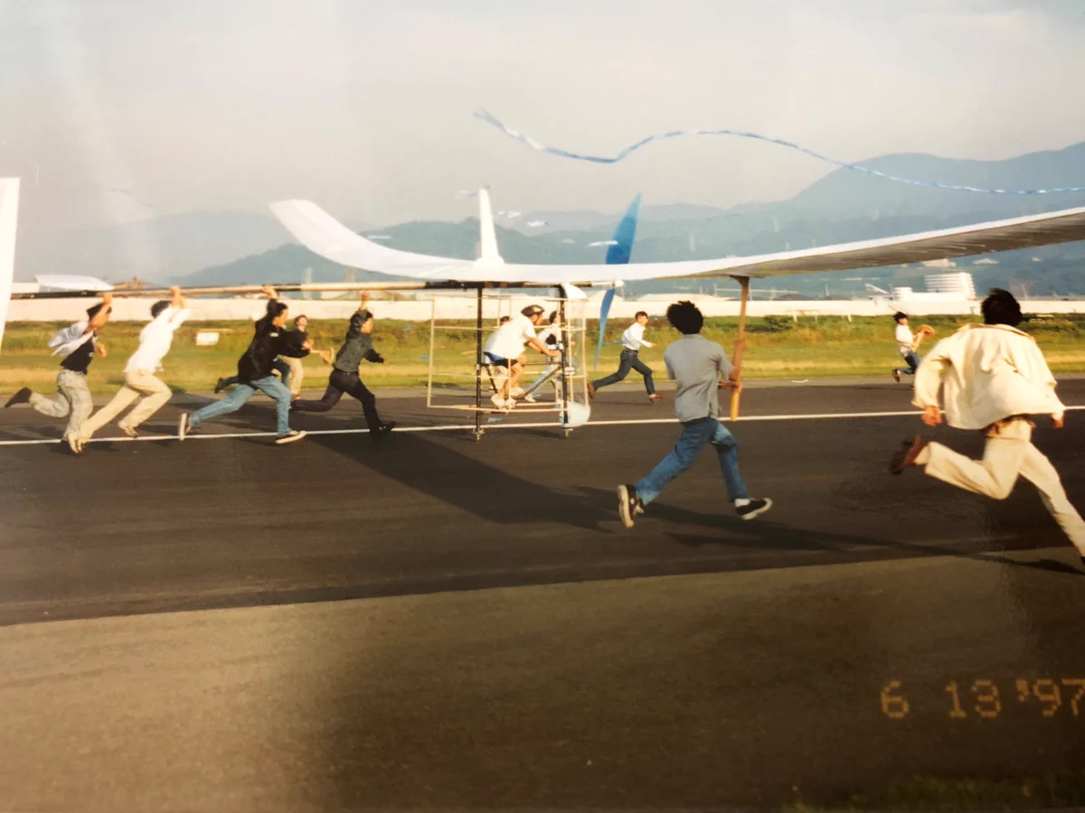 希少大型フィカス・ソフィア　高さ１９５センチ 引き取り歓迎　久喜市　配達可能 希少大型フィカス・ソフィア 高さ195センチ 引き取り歓迎 久喜市