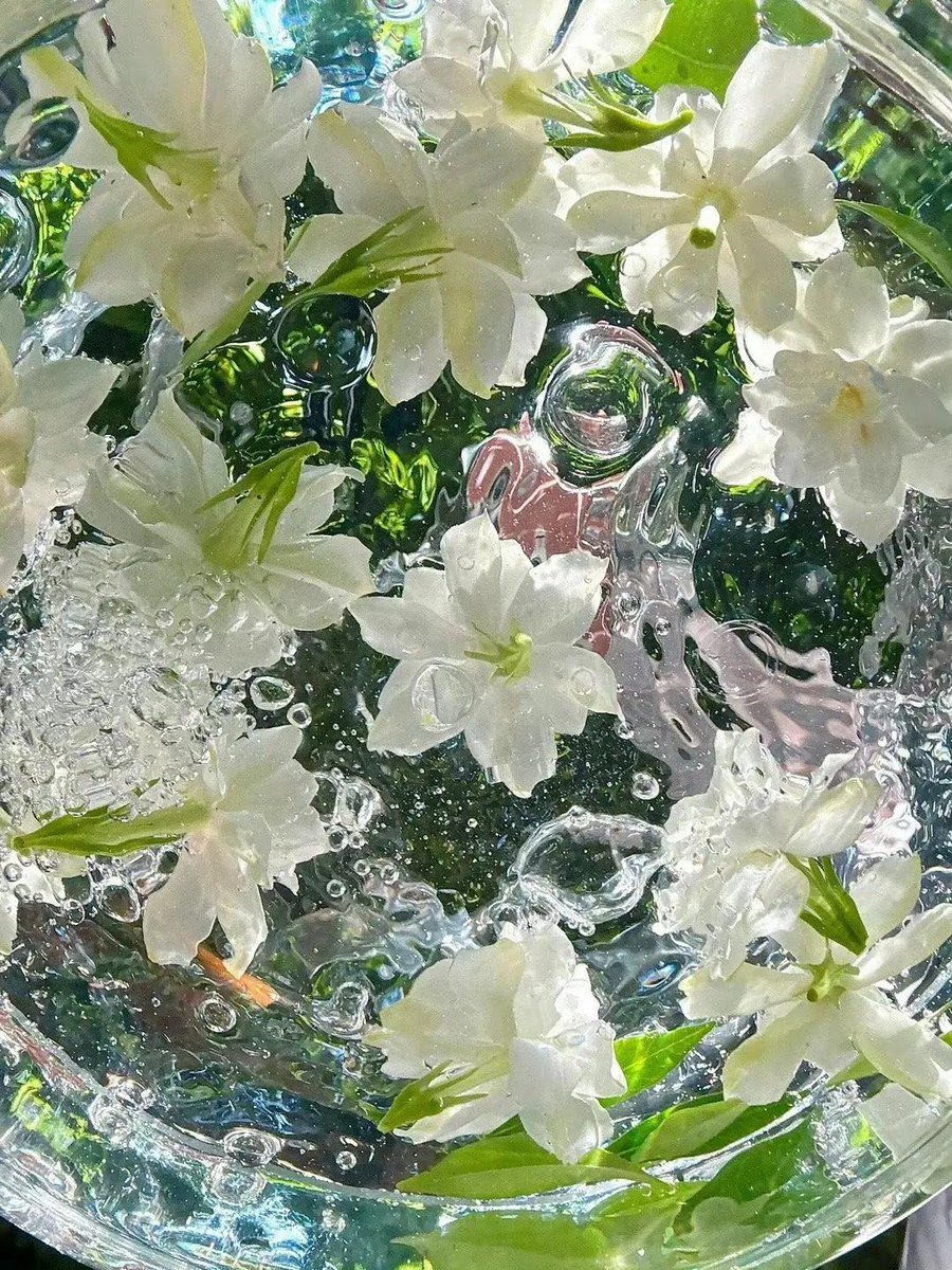 HungMaharrd4pk's tweet photo. it is strange how moments can feel heavy and weightless at the same time, like a thought you can't quite grasp but refuse to let go of 🫧 https://t.co/ZCLfjtFe8j