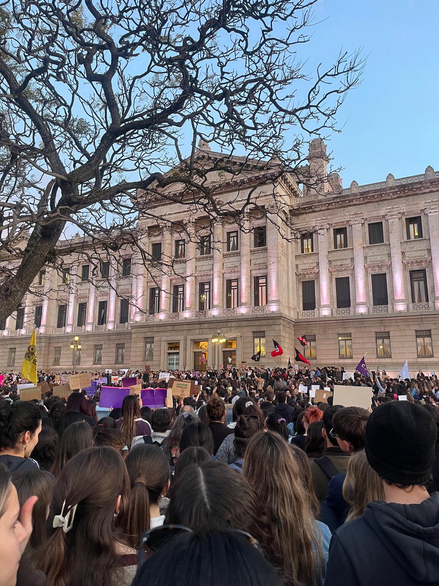 LuBrignoni's tweet photo. Que vivan siempre las estudiantes ✊🏻💜 https://t.co/kR2Ud4GNJI