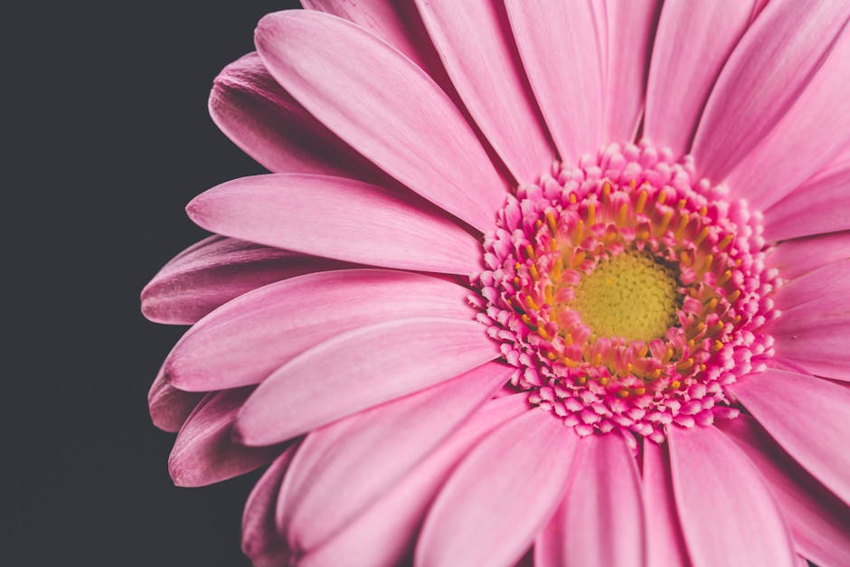 ZenaidaDumgp's tweet photo. لا أستطيع كل أن أشكر مقالك ما شاركته. شكر. هو مورد رائع. felipe heider🍔 https://t.co/UKxC5jycnQ