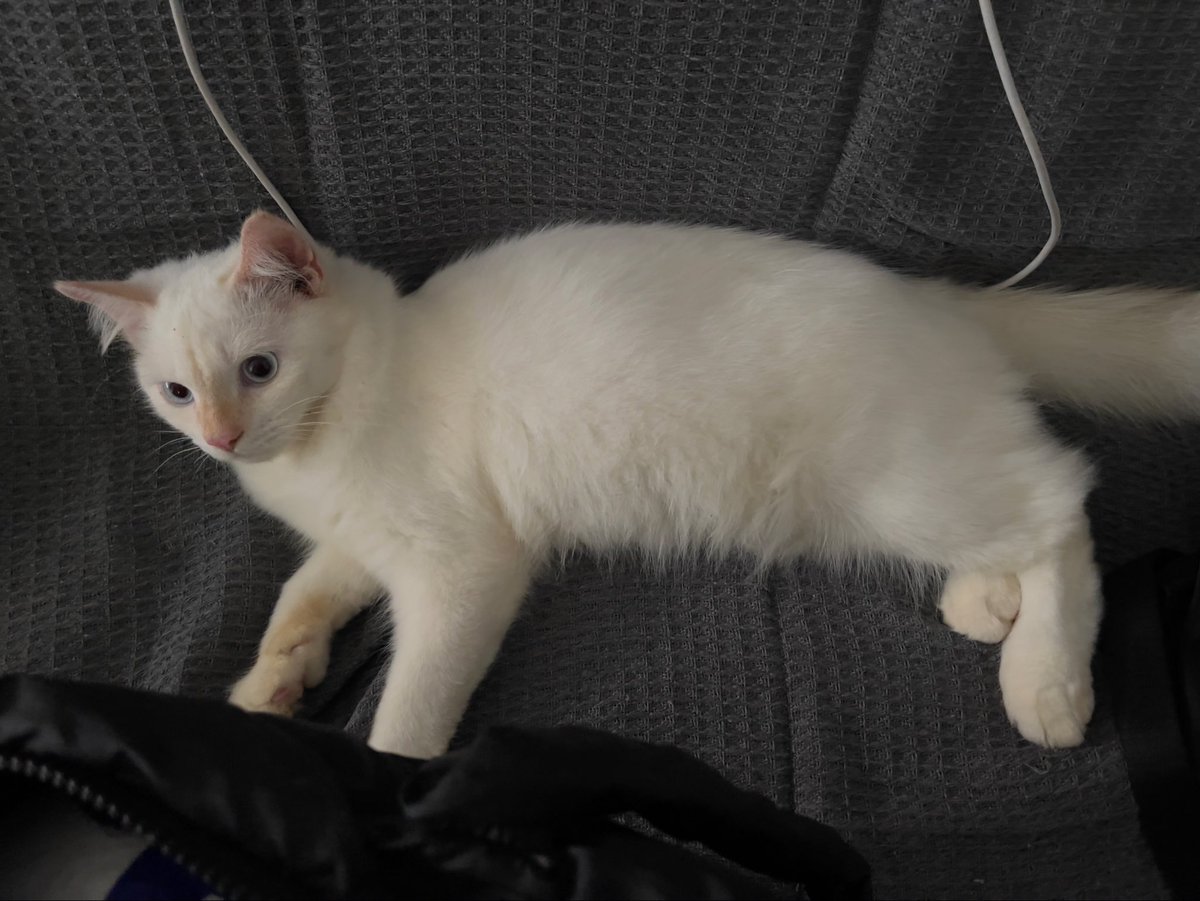 mmmyeahmaybe's tweet photo. My cute son baby boy handsome prince good boy https://t.co/EPMeM0RFkA