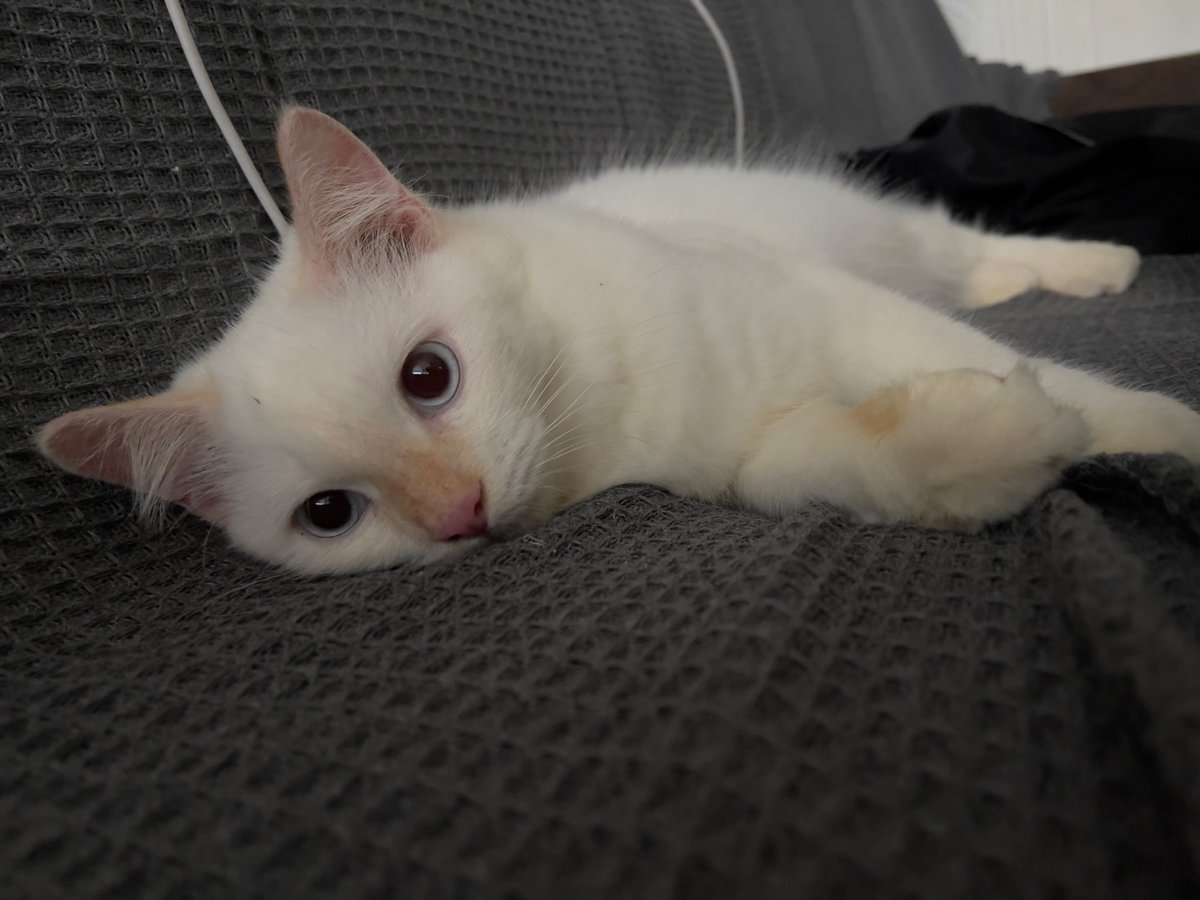 mmmyeahmaybe's tweet photo. My cute son baby boy handsome prince good boy https://t.co/EPMeM0RFkA