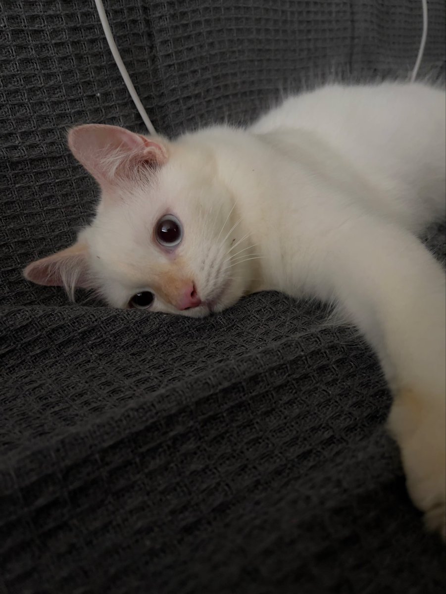 mmmyeahmaybe's tweet photo. My cute son baby boy handsome prince good boy https://t.co/EPMeM0RFkA