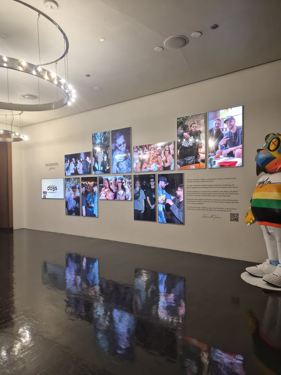 realmjmetax's tweet photo. So many people ask me what are the @doginaldogs...

Here is my answer from a DDNYC perspective.

I walked in to the Dream Hotel Downtown and cried.

Why?

Because the very essence of what it means displayed in the hotel lobby.

The art, the pfps...

The GIFS,

The memories made from all the IRL events.

Then one by one seeing some community members walk in and connecting once again.

Meeting the new people who have recently found the doginal dogs or the ones that finally were able to make it IRL.

Oh and the DDLTCG... unbelievable.

One of the most VISUALLY gratifying experiences ever.

The dogs are taking over the DREAM, taking over NYC and next the world.

Just  watch.

The community is best described by @barkmeta
@GodsBurnt 
@Shieldmetax 
As THE FUTURE. 

Why?  Because we are.

DDNYC has barely started...

5 hours in and I am LITERALLY blown away.

My take away this far,

Do not fade this community. 

Do not fade greatness.

This is the model for what comes next.

IFYKYK.