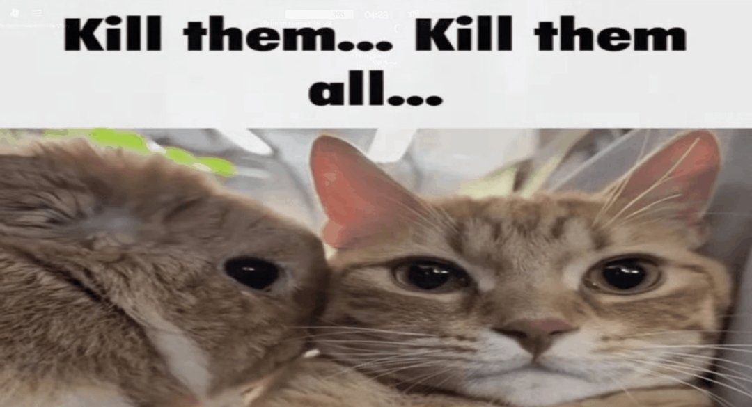 DailyCatConsign's tweet photo. Daily Cat #748 https://t.co/Z7ZqlrslM2